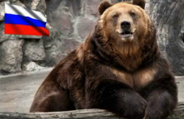 Запад запустил токсичную кампанию против России