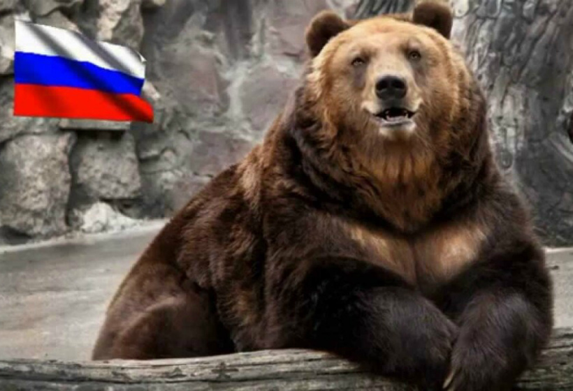 Запад запустил токсичную кампанию против России