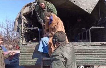 Видео: Леворадикалы из террбата “Азов” пытаются покинуть освобождаемый Мариуполь в женской одежде