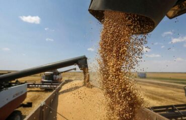 Мельниченко: «Готовьтесь к глобальному продовольственному кризису» 